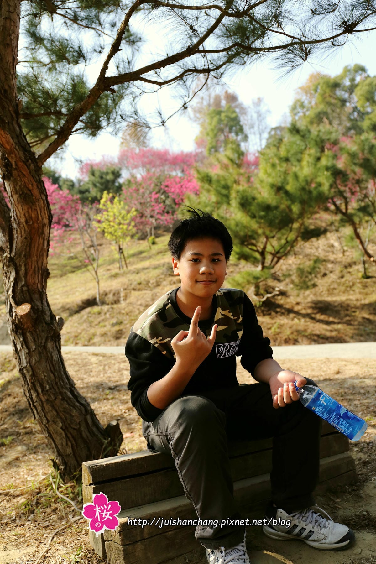 【遊‖台中】大坑濁水巷櫻花林～滿山櫻花綻放，來場粉紅色浪漫約會♥♥♥