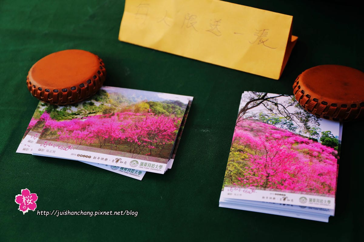 【遊‖台中】大坑濁水巷櫻花林～滿山櫻花綻放，來場粉紅色浪漫約會♥♥♥