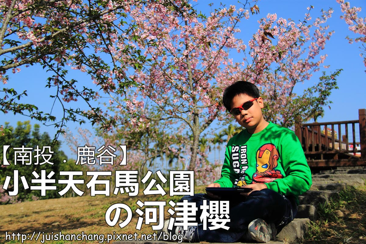 【遊‖台中】大坑濁水巷櫻花林～滿山櫻花綻放，來場粉紅色浪漫約會♥♥♥