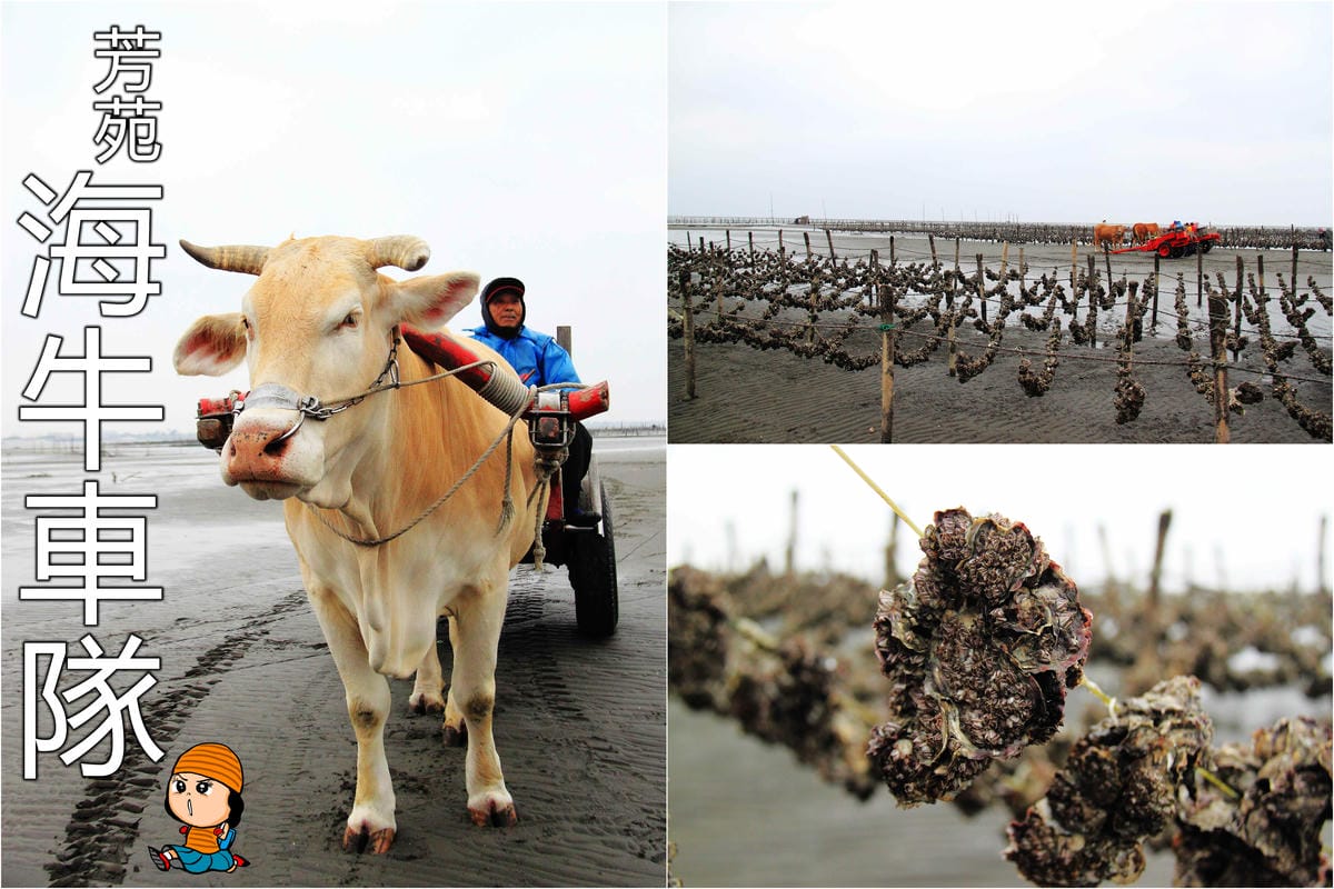 【遊║彰化】警察故事館～成為「波麗士大人」的主角，可以當一天的警察喔﹗