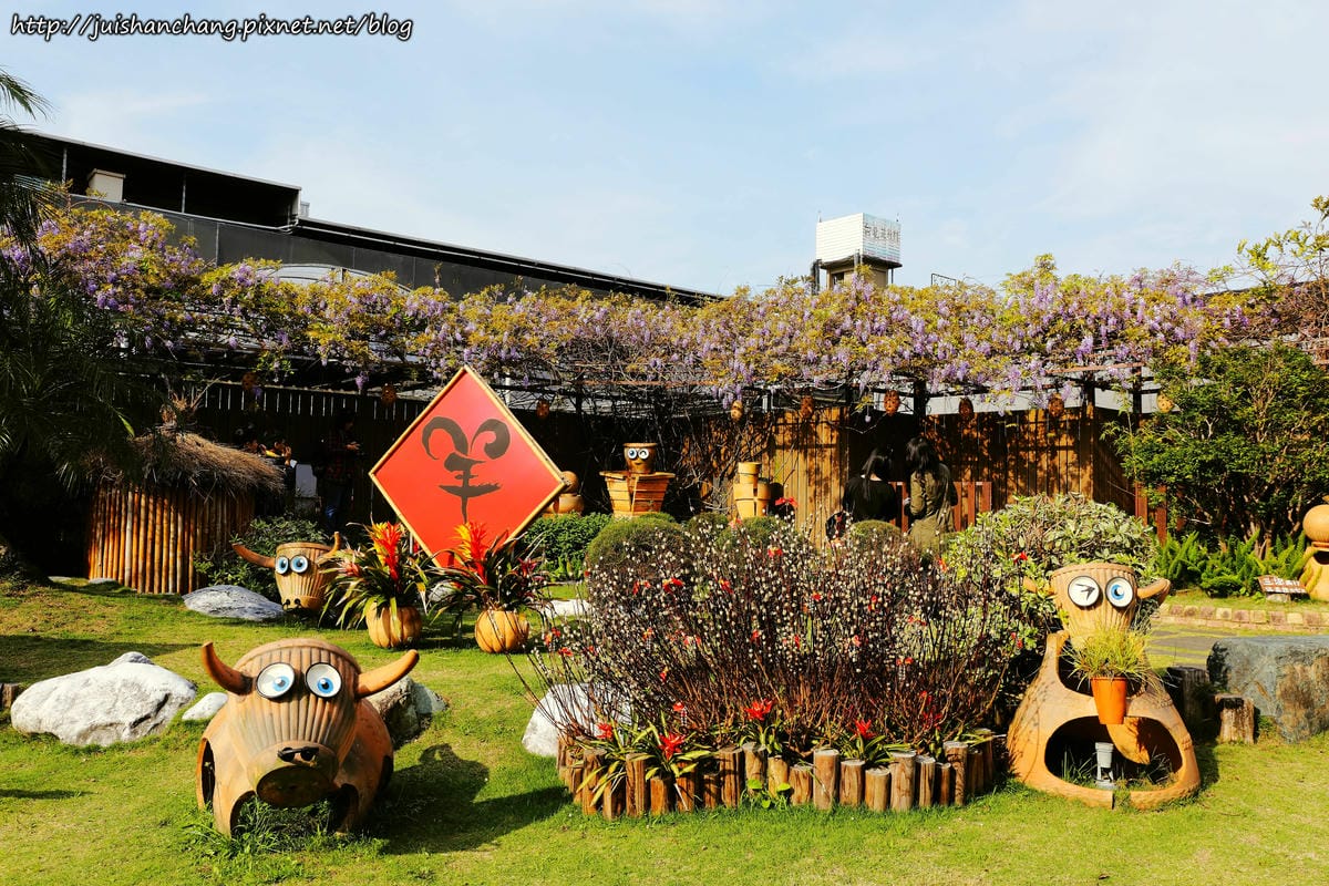 【遊║台北】台北花卉村～不用衝嘉義瑞里，台北就有超夢幻紫藤花！