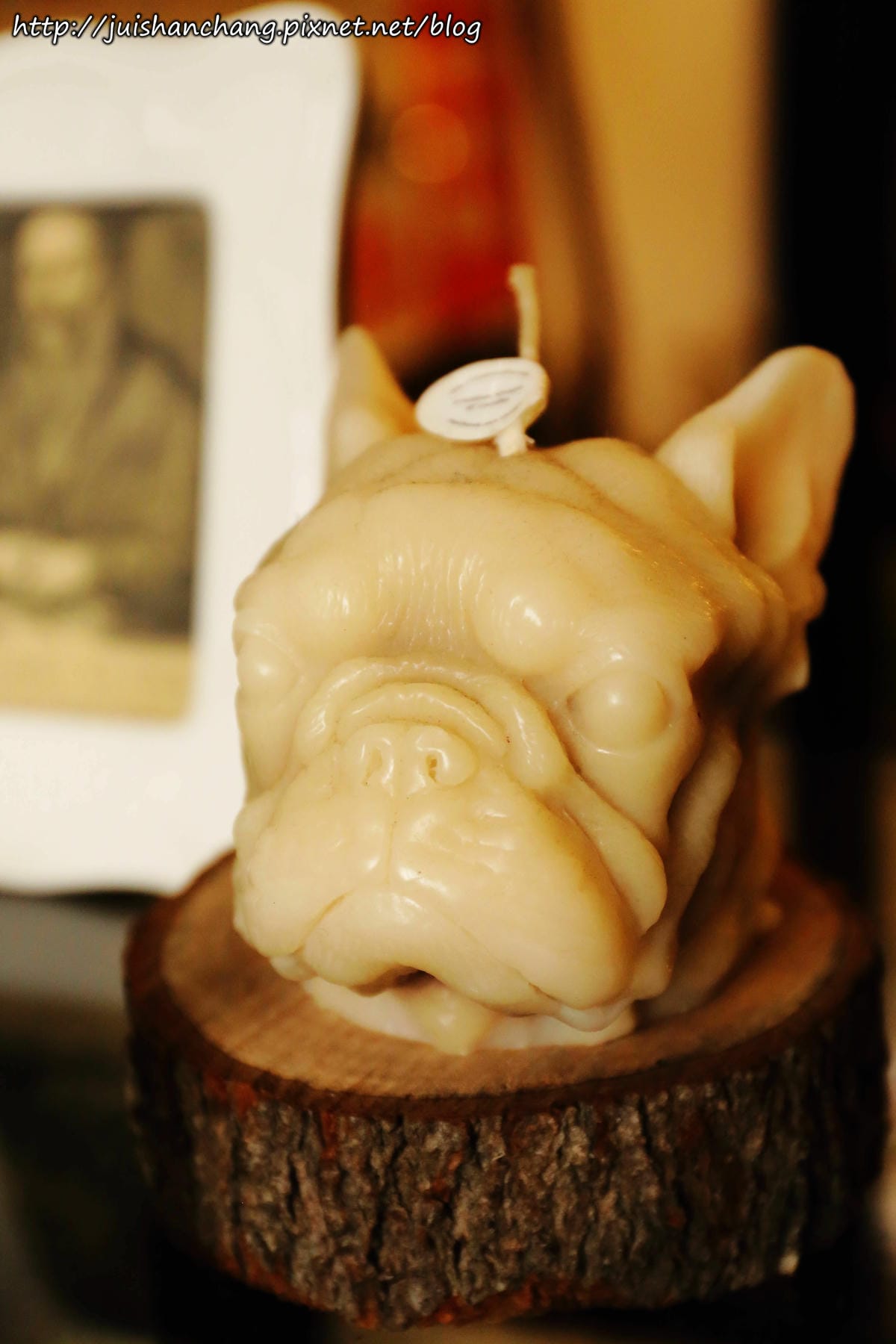 【食║台北】南西六號公寓～鐵鍋鬆餅與狗店長Peko的親密時光，吠～