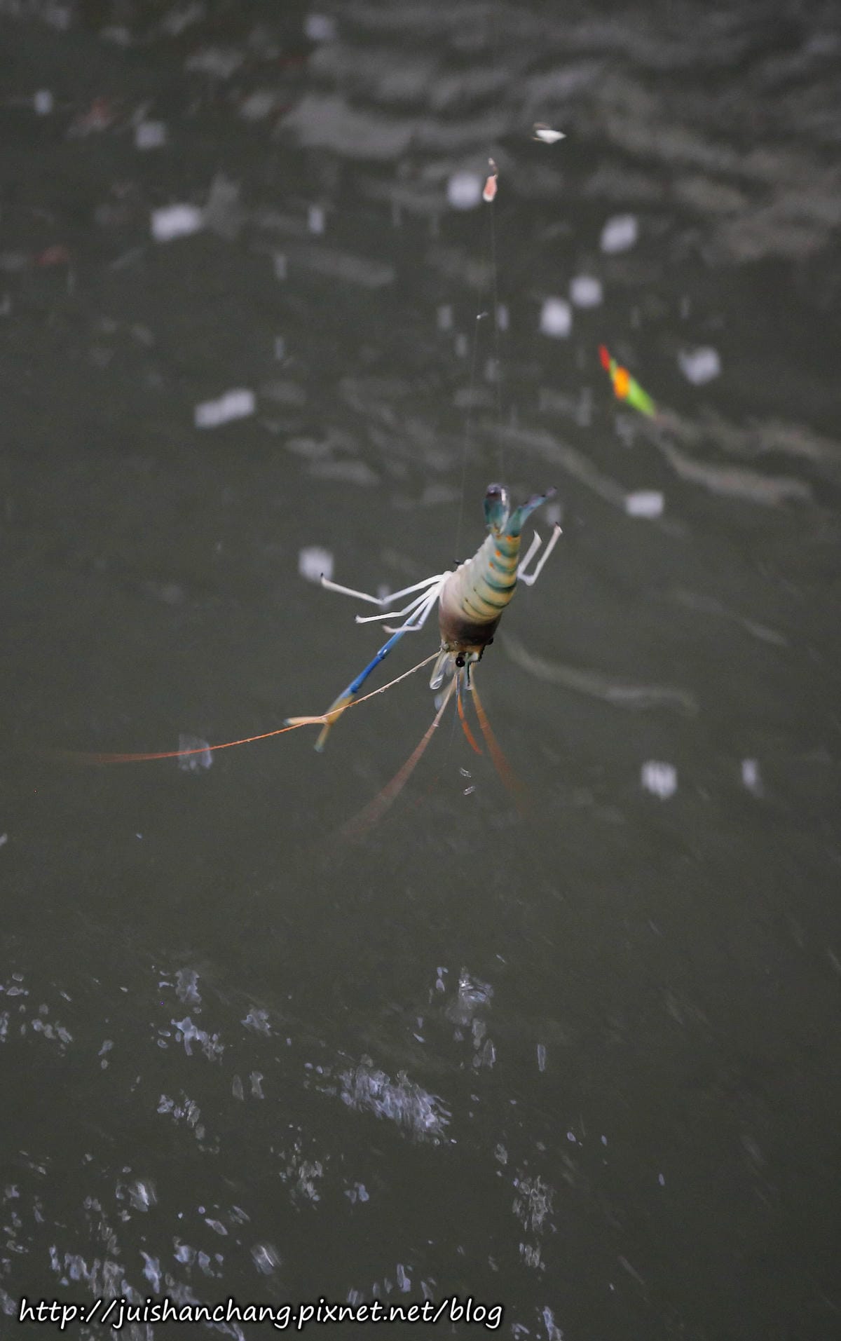 【遊║新北中和】全球複合式休閒館～釣蝦/保齡球/棒球/壘球/射擊/射箭，揪團來運動囉！