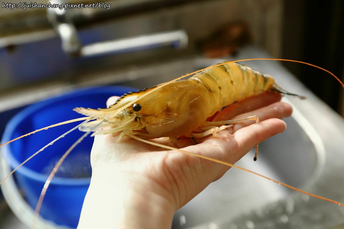 【遊║新北中和】全球複合式休閒館～釣蝦/保齡球/棒球/壘球/射擊/射箭，揪團來運動囉！