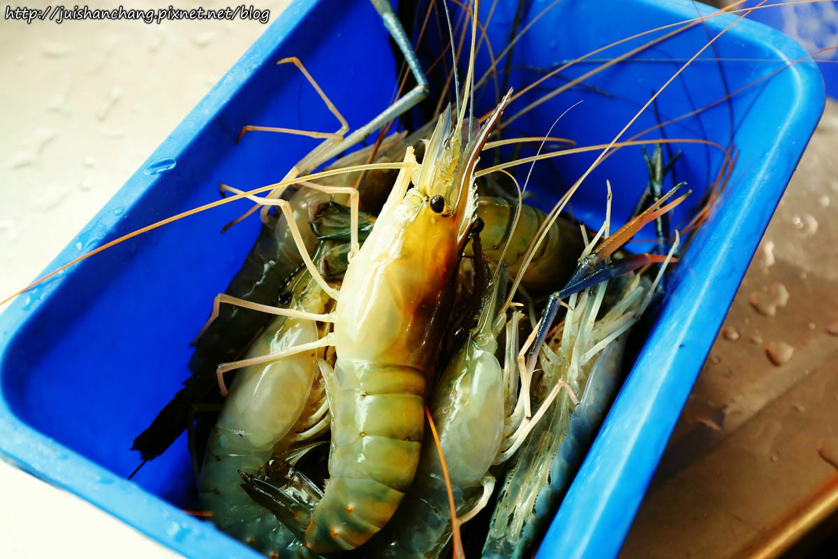 【遊║新北中和】全球複合式休閒館～釣蝦/保齡球/棒球/壘球/射擊/射箭，揪團來運動囉！