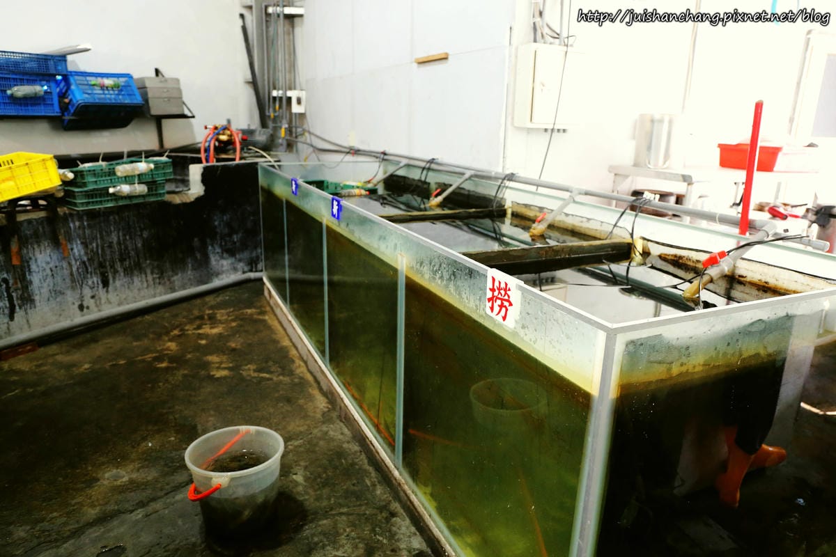 【遊║新北中和】全球複合式休閒館～釣蝦/保齡球/棒球/壘球/射擊/射箭，揪團來運動囉！