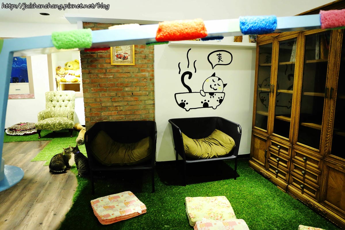 【食║桃園】南美村ㄚ狗ㄚ喵〜寵物友善餐廳。與毛小孩一起品嘗美食(已歇業)