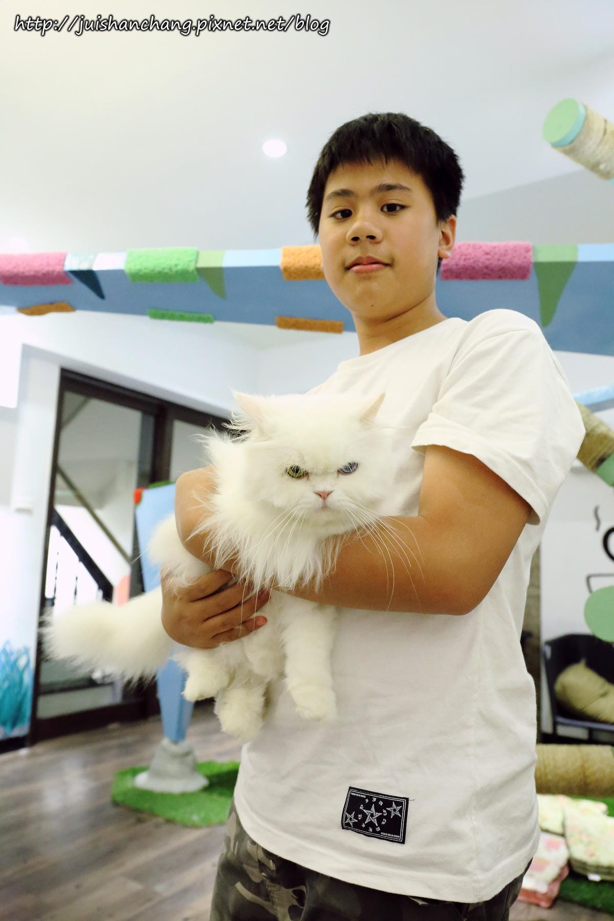 【食║桃園】南美村ㄚ狗ㄚ喵〜寵物友善餐廳。與毛小孩一起品嘗美食(已歇業)