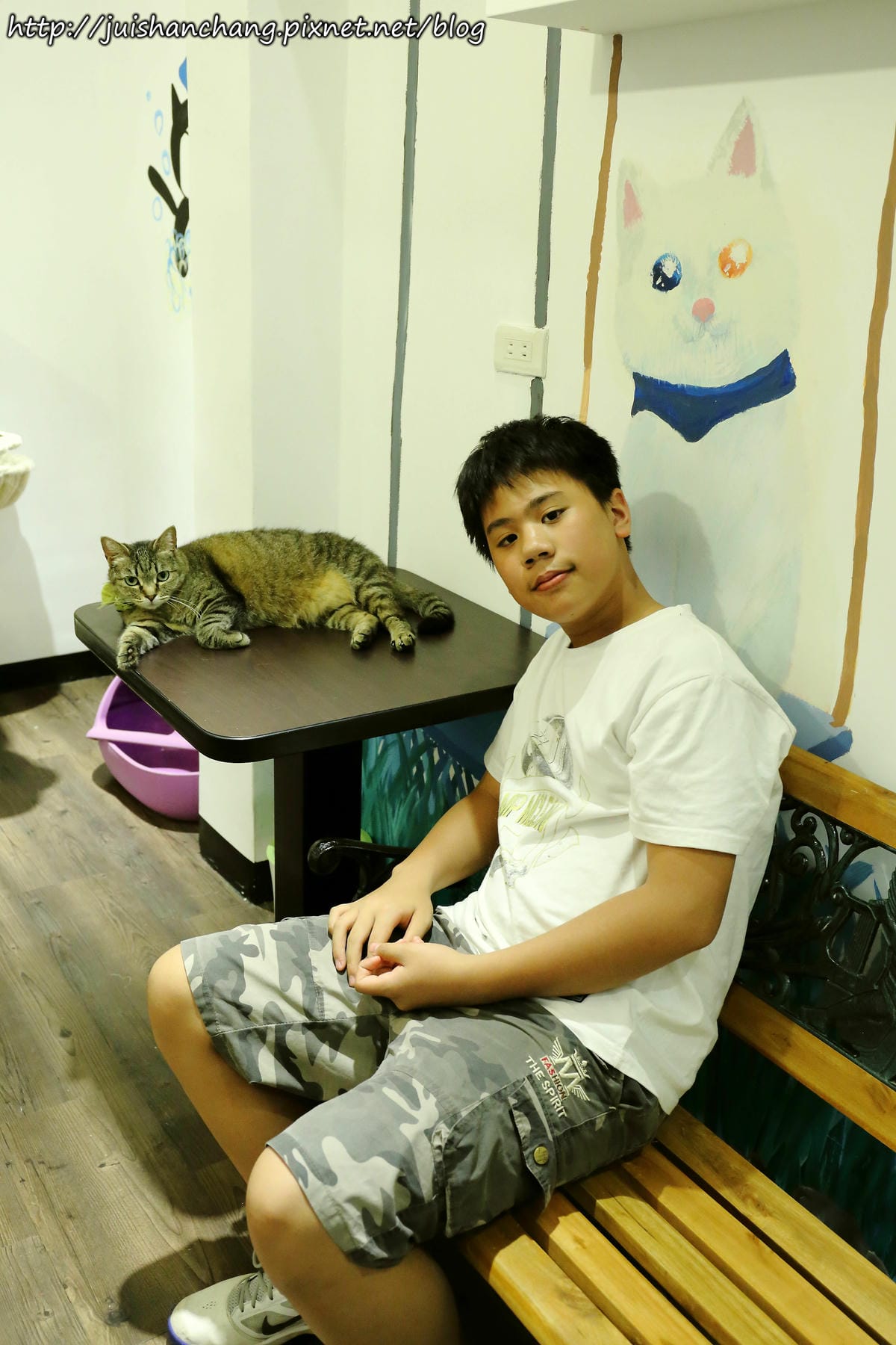 【食║桃園】南美村ㄚ狗ㄚ喵〜寵物友善餐廳。與毛小孩一起品嘗美食(已歇業)