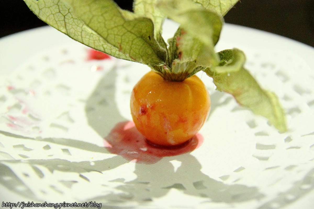 【食║新北蘆洲】魚缸珈琲〜魚缸裡沒有金魚，只有華麗的甜點。蘆洲人的秘密基地。