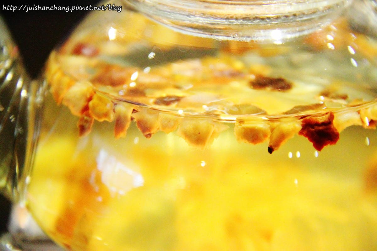 【食║新北蘆洲】魚缸珈琲〜魚缸裡沒有金魚，只有華麗的甜點。蘆洲人的秘密基地。