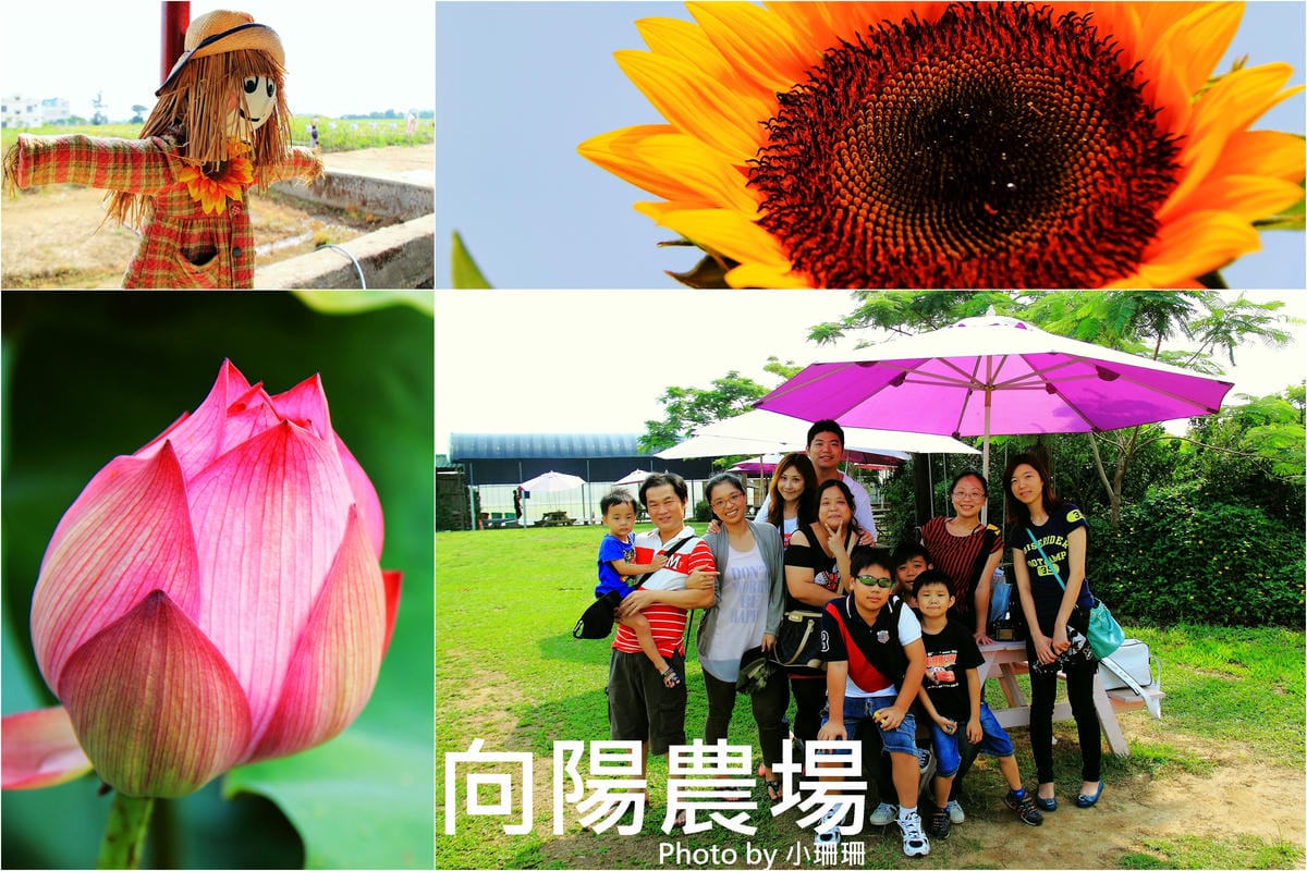 【遊║桃園觀音】龍貓公車站〜桃園新亮點。跟豆豆龍一起幸福等車吧！