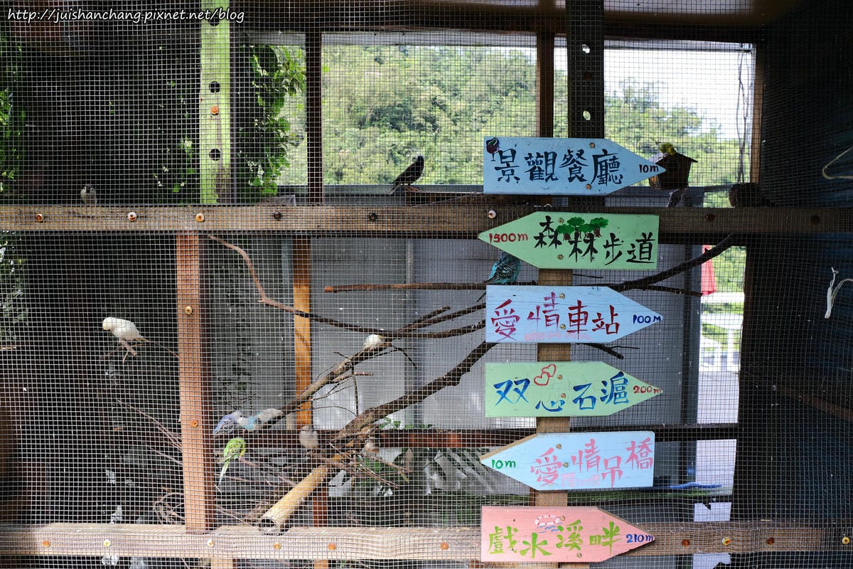 【遊║新竹】內灣愛情故事館〜浪漫新景點。景觀餐廳。婚紗拍攝基地。(已歇業)