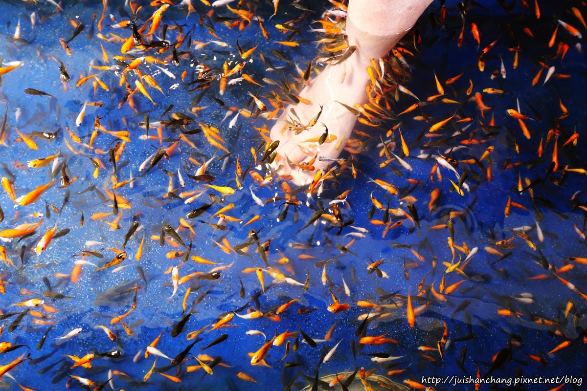 【遊║宜蘭】葉家香。世界辣椒文化館〜會辣的冰淇淋，挑戰你的嗜辣程度！