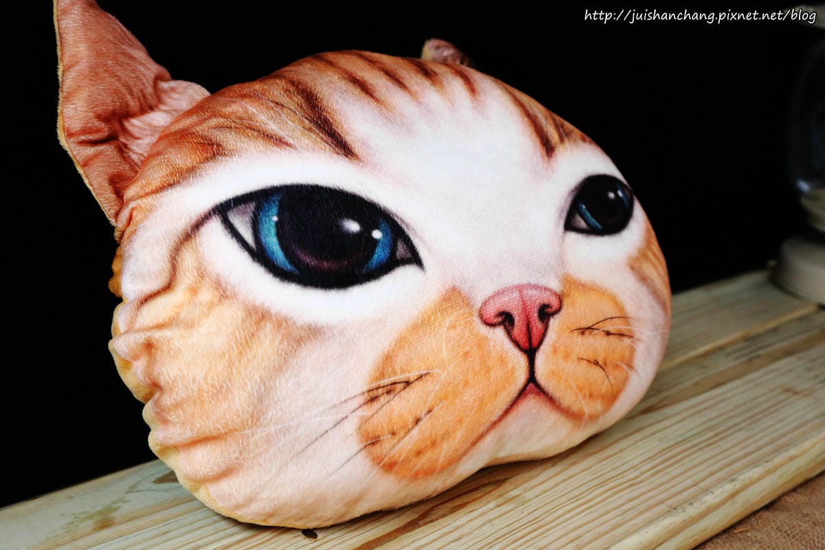 【食║台北】MinouMinou貓咪餐廳〜公館商圈裡美味早午餐。 貓奴淚推「太讚！」