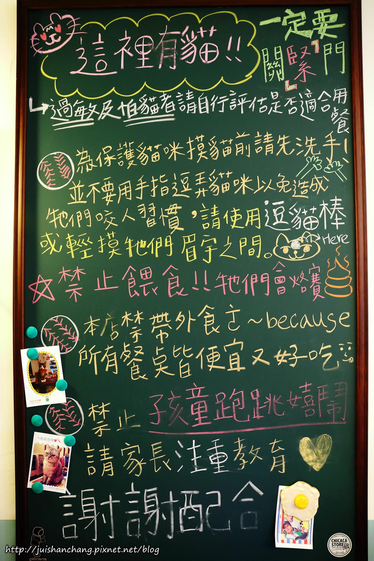 【食║台北】MinouMinou貓咪餐廳〜公館商圈裡美味早午餐。 貓奴淚推「太讚！」