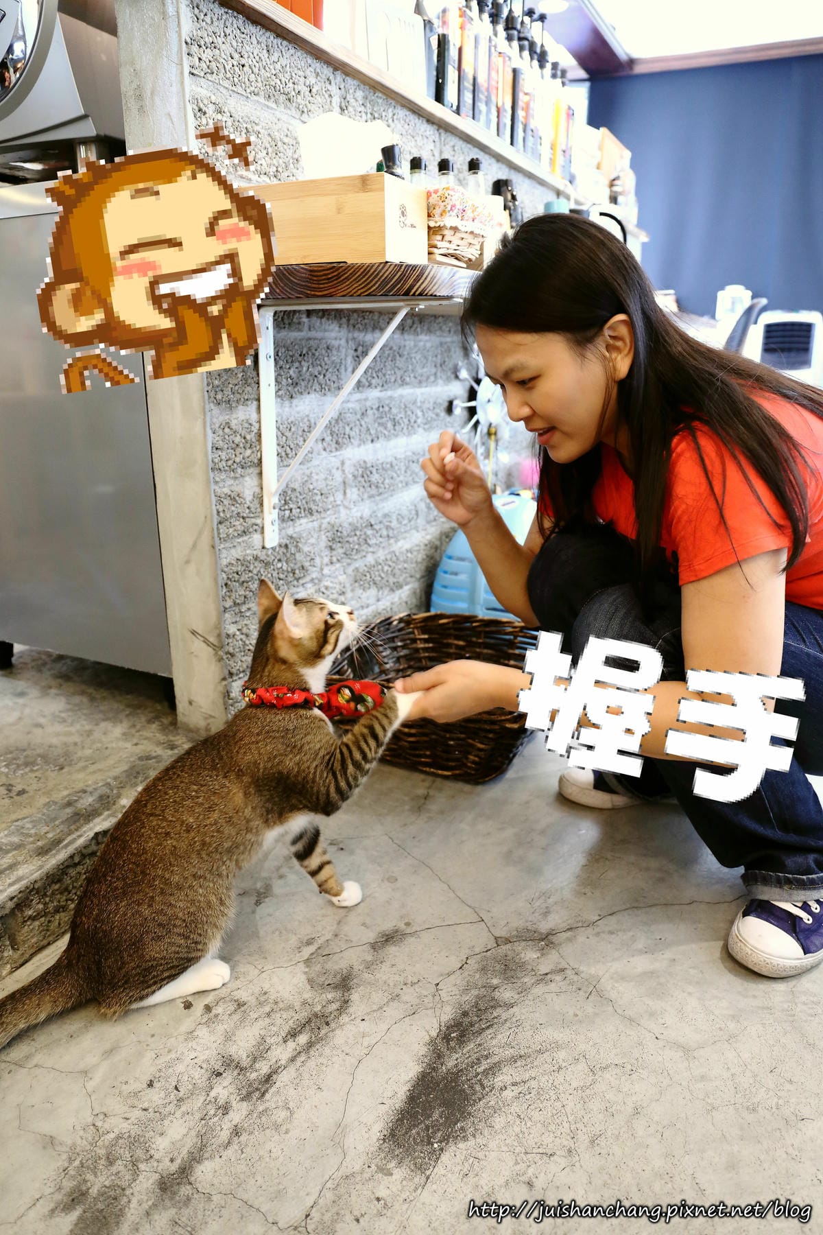 【食║台北】MinouMinou貓咪餐廳〜公館商圈裡美味早午餐。 貓奴淚推「太讚！」