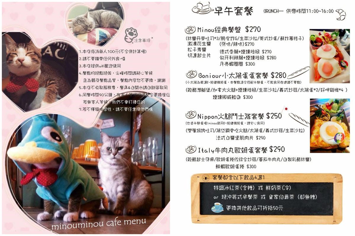 【食║台北】MinouMinou貓咪餐廳〜公館商圈裡美味早午餐。 貓奴淚推「太讚！」