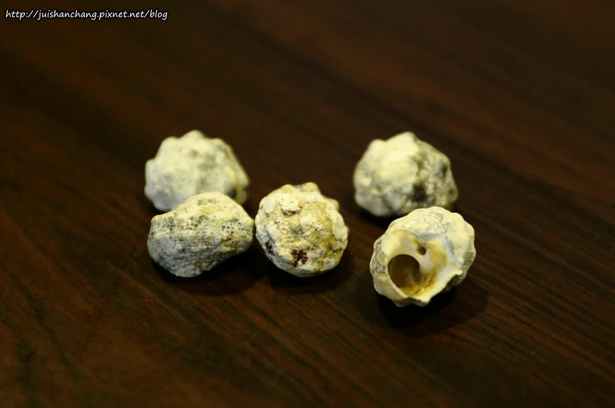 【食║新北中永和】88平價海鮮百元熱炒〜聚餐好所在，海鮮熱炒一網打盡。不用飄洋過海就能品嘗澎湖道地海鮮料理(已歇業)