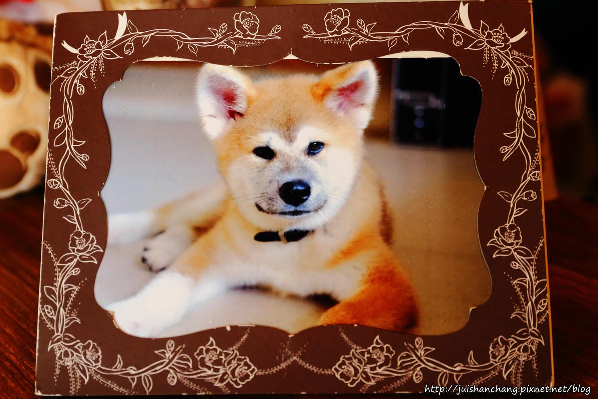 【食║宜蘭】Camellia法式甜點～現做甜點與手沖咖啡，每一碟驚艷味蕾的小確幸。