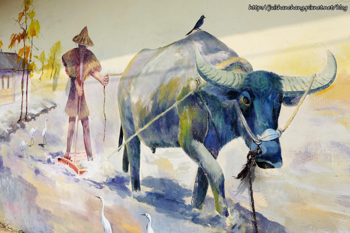 【遊║桃園蘆竹】坑口彩繪村～我也牽過牛！彷彿看到一張張60年代農村老照片，浮現童年回憶