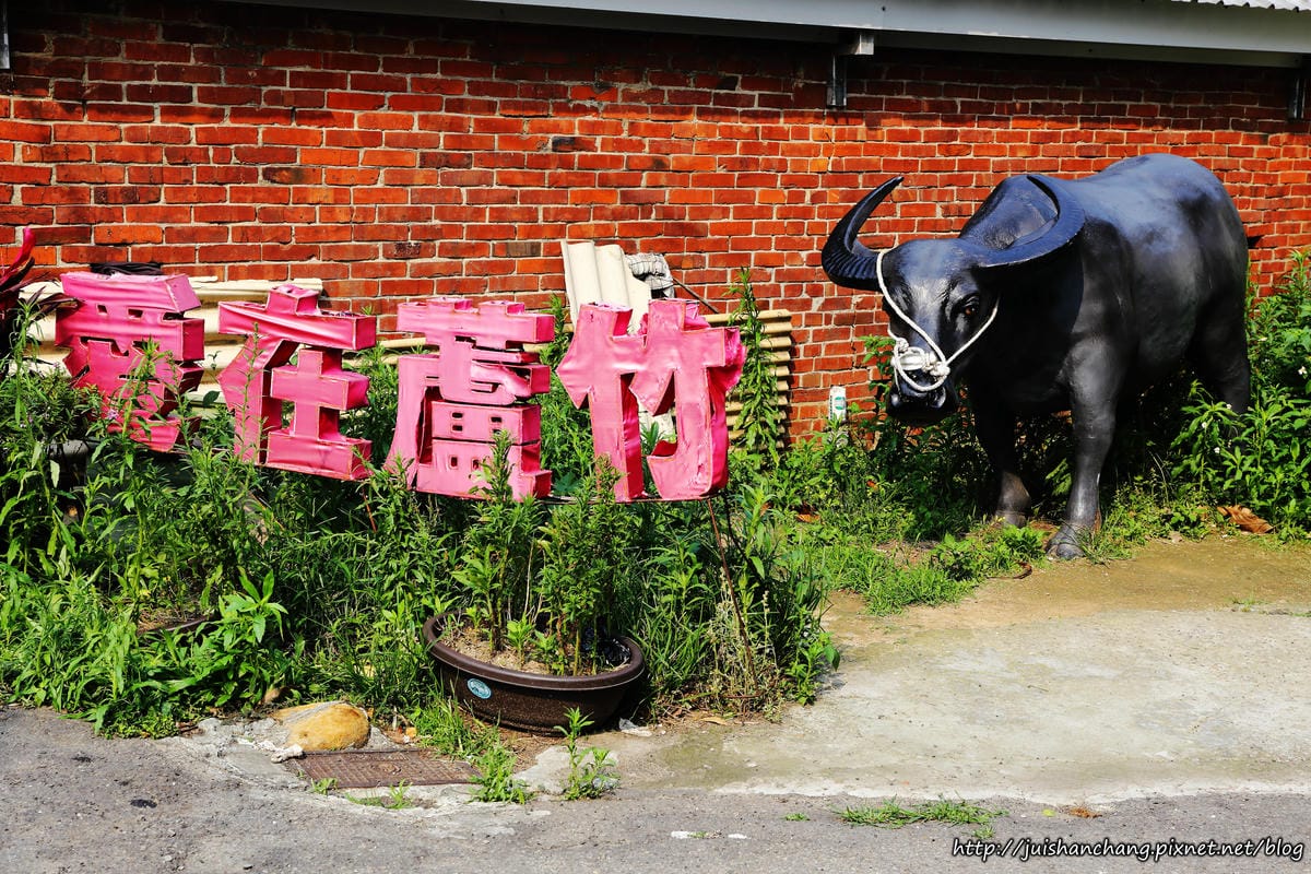 【遊║桃園蘆竹】坑口彩繪村～我也牽過牛！彷彿看到一張張60年代農村老照片，浮現童年回憶