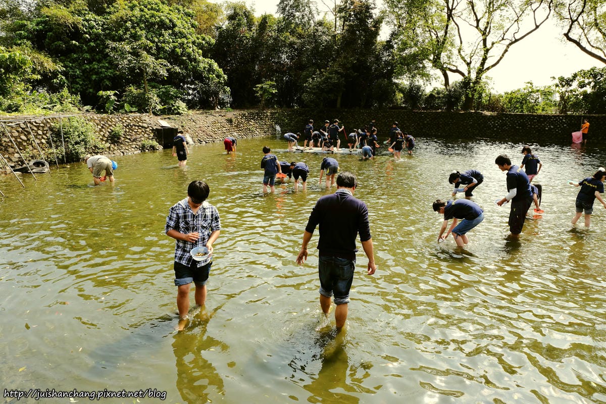 【遊║宜蘭】廣興農場。鴨母寮豬哥窟～撩起褲管，摸蜆兼洗褲，一起下鄉趣吧！