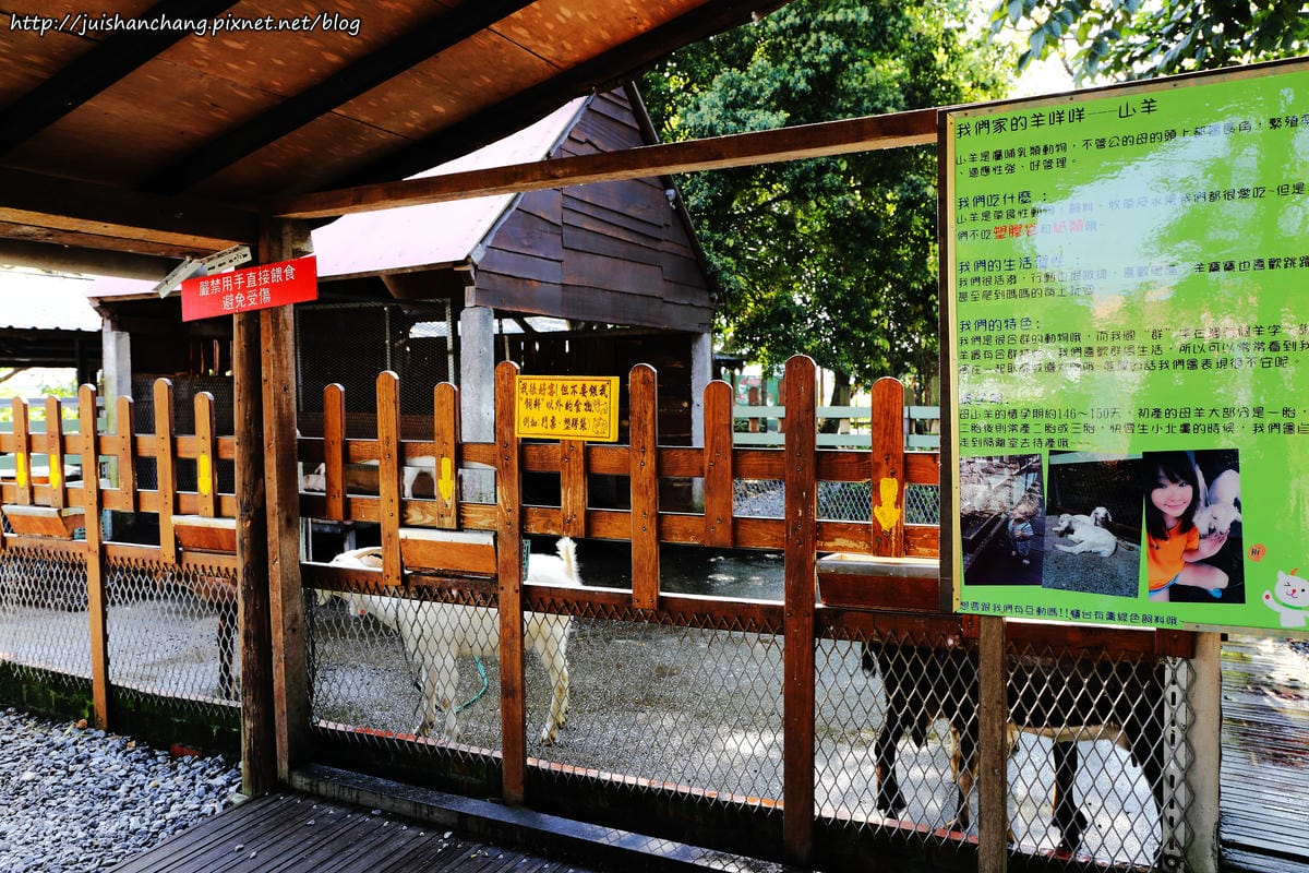 【遊║宜蘭】廣興農場。鴨母寮豬哥窟～撩起褲管，摸蜆兼洗褲，一起下鄉趣吧！