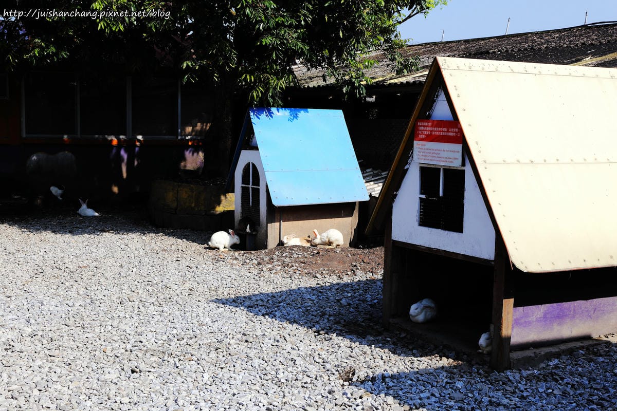 【遊║宜蘭】廣興農場。鴨母寮豬哥窟～撩起褲管，摸蜆兼洗褲，一起下鄉趣吧！