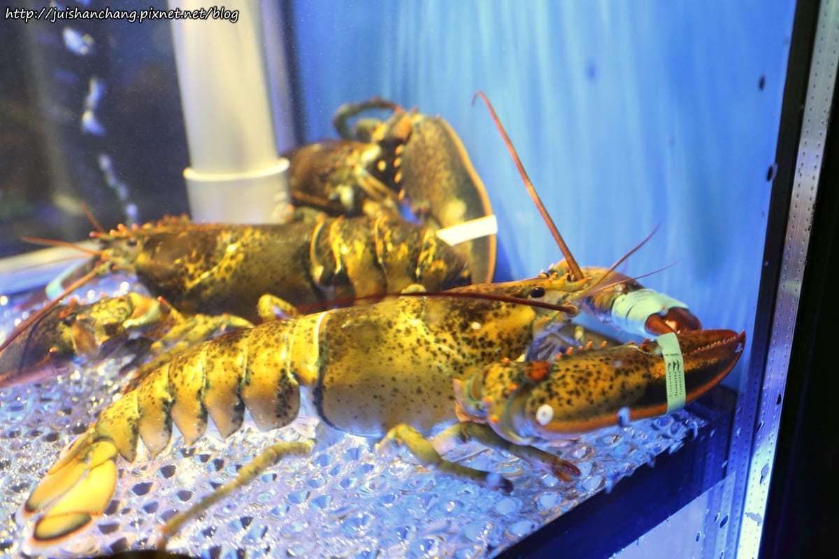 【食║台北】武邁-居食塢～日式居酒屋。客製化菜單。隱藏版菜色教人驚喜！