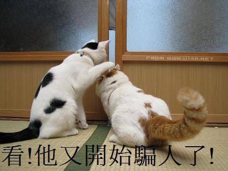 【食║台北】沒事『早事』坐～中山區早餐。味蕾有所值，吃蛋吧！