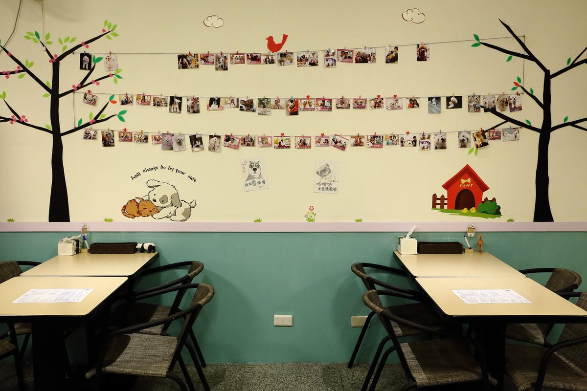 【食║永和】歪頭廚房～奔跑吧！毛寶貝！帶著狗狗一起吃飯/寵物友善餐廳
