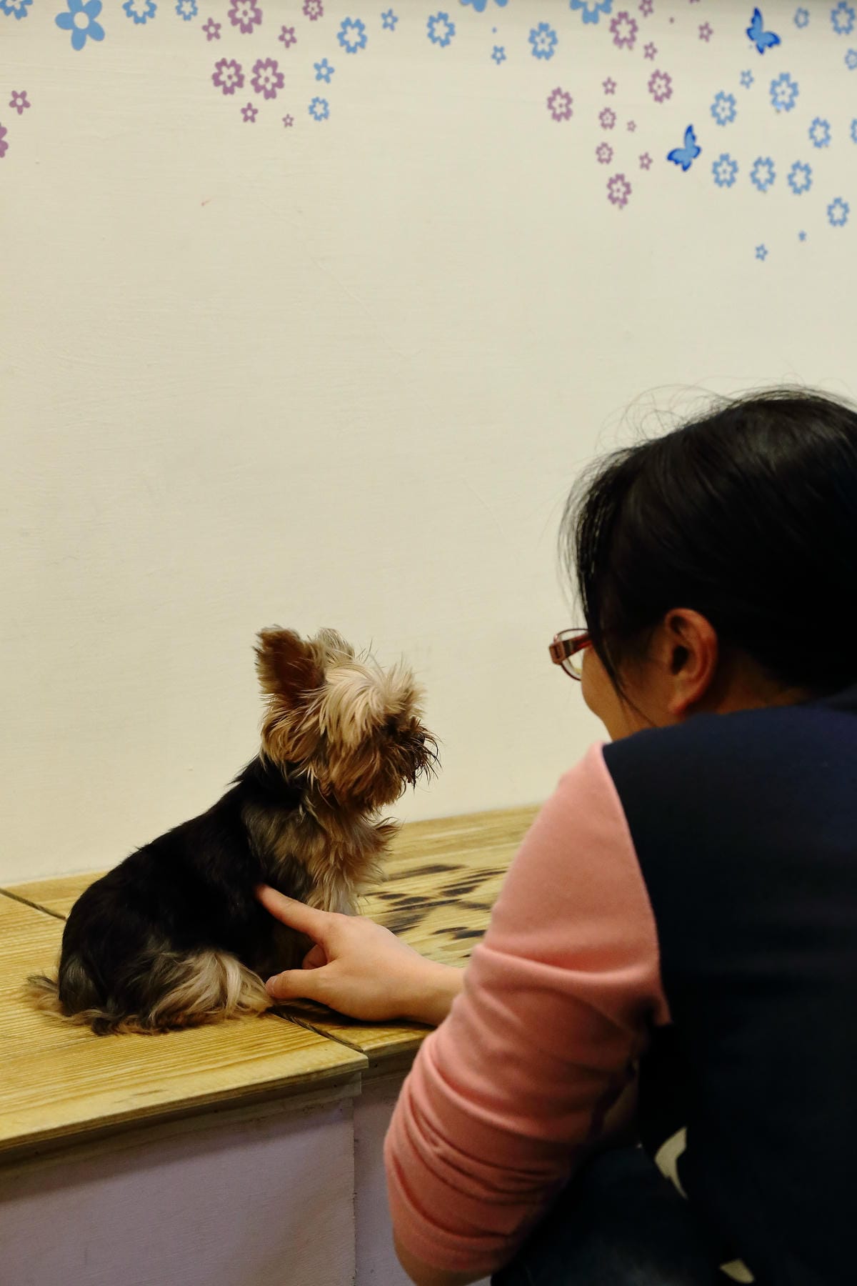 【食║永和】歪頭廚房～奔跑吧！毛寶貝！帶著狗狗一起吃飯/寵物友善餐廳