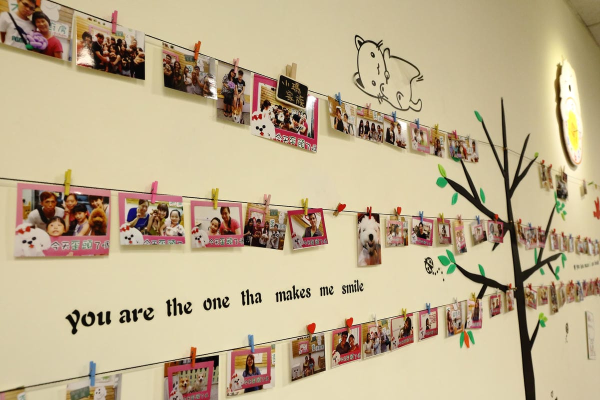 【食║永和】歪頭廚房～奔跑吧！毛寶貝！帶著狗狗一起吃飯/寵物友善餐廳