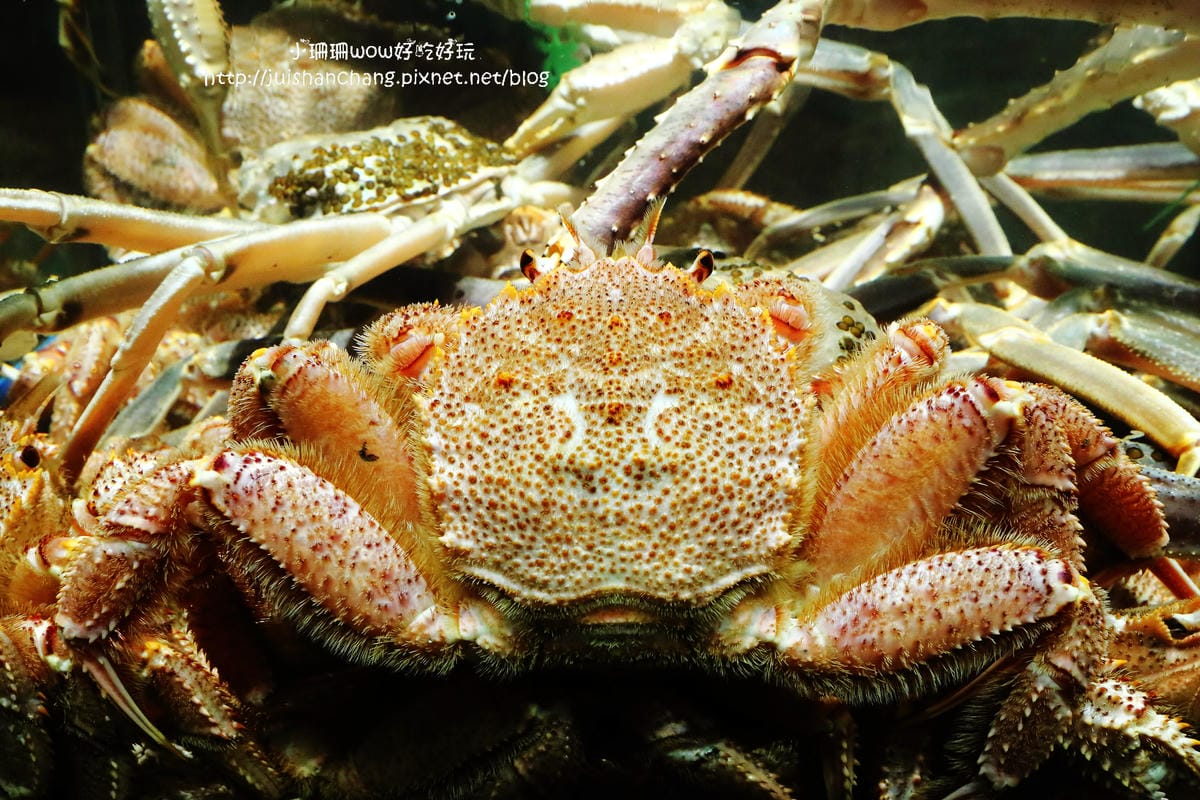 【食║台北】鼎膾。北海道毛蟹專賣店～我發誓，只要388的商業午餐就可以吃到澳洲和牛朴葉燒，霸氣食！