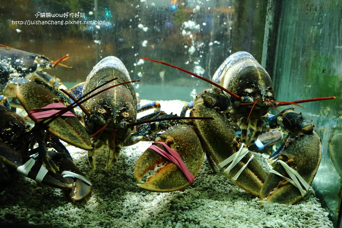 【食║台北】鼎膾。北海道毛蟹專賣店～我發誓，只要388的商業午餐就可以吃到澳洲和牛朴葉燒，霸氣食！