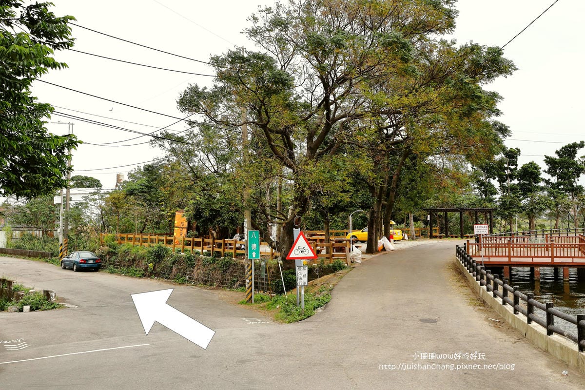 【遊║桃園+台中】落羽松森林～冬季必訪。落羽松秘境你去過幾處？