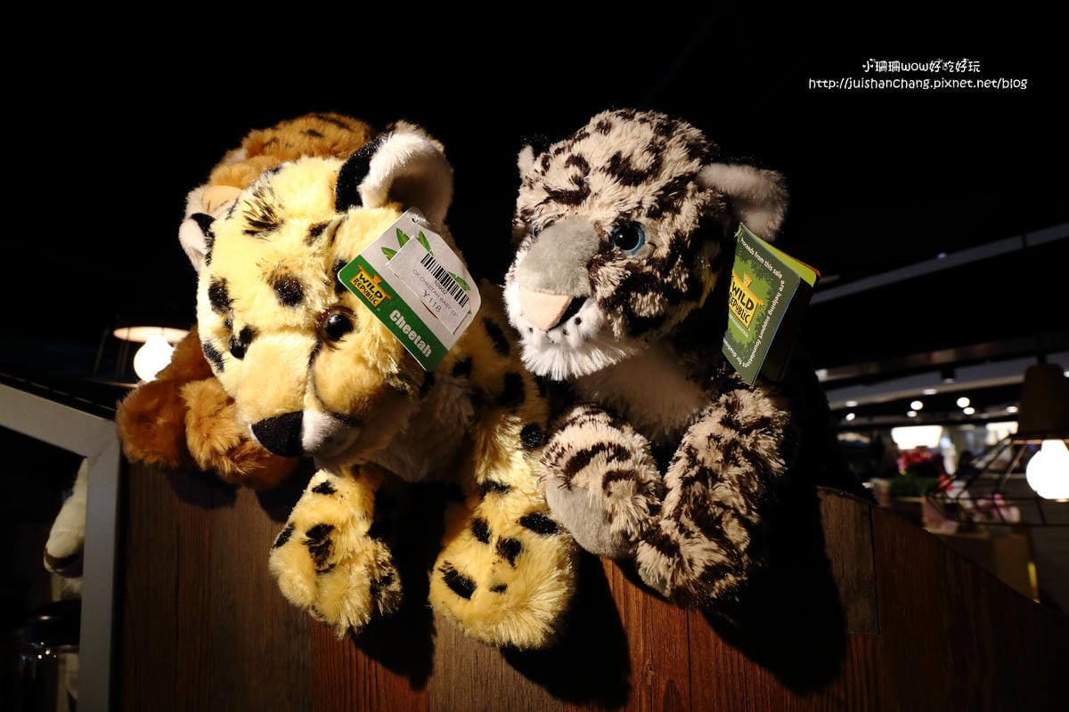 【食║台北】「善良的男人」咖啡廳 ZOO COFFEE～韓國人氣咖啡館台灣一號店！都市叢林，動物們陪你一起喝咖啡