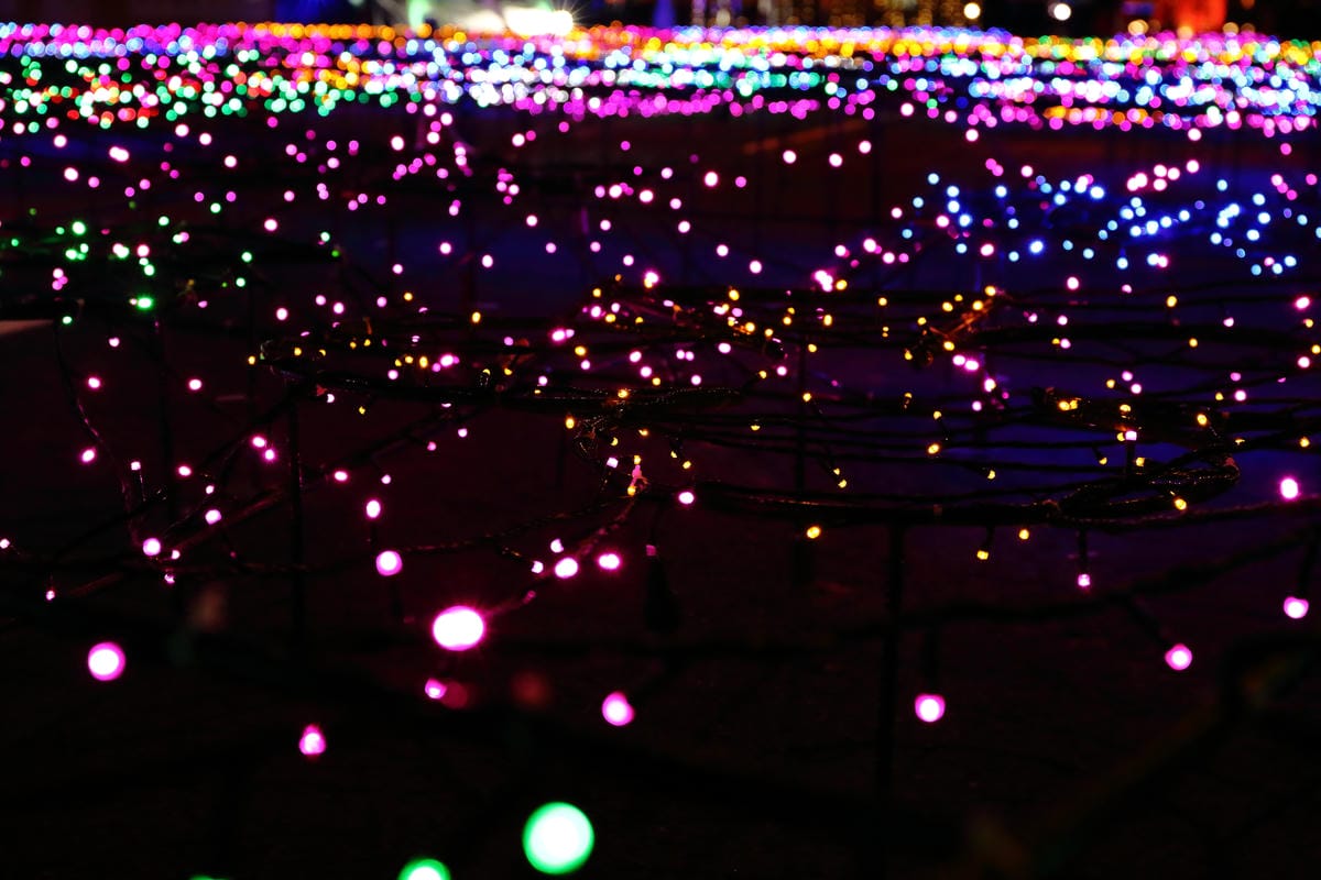 【遊║桃園】2016台灣燈會在桃園～六大燈區璀璨登場，試燈搶先看！(文末抽獎)