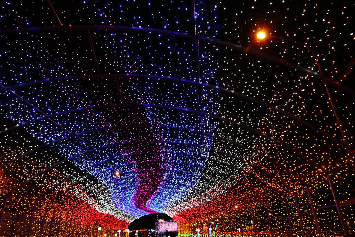 【遊║桃園】2016台灣燈會在桃園～六大燈區璀璨登場，試燈搶先看！(文末抽獎)