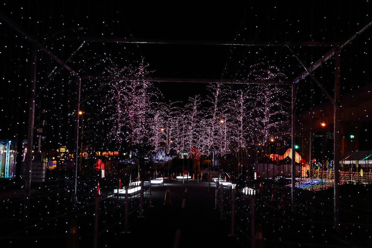 【遊║桃園】2016台灣燈會在桃園～六大燈區璀璨登場，試燈搶先看！(文末抽獎)