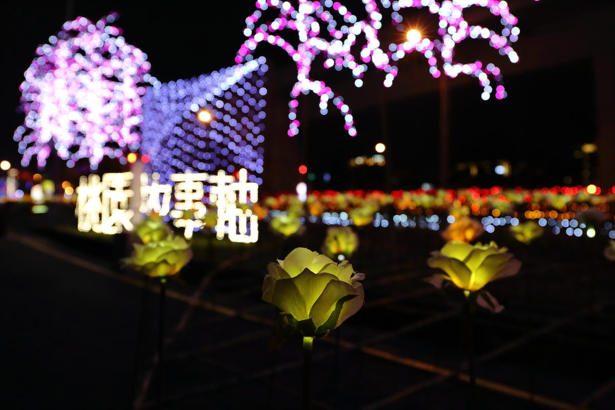 【遊║桃園】2016台灣燈會在桃園～六大燈區璀璨登場，試燈搶先看！(文末抽獎)