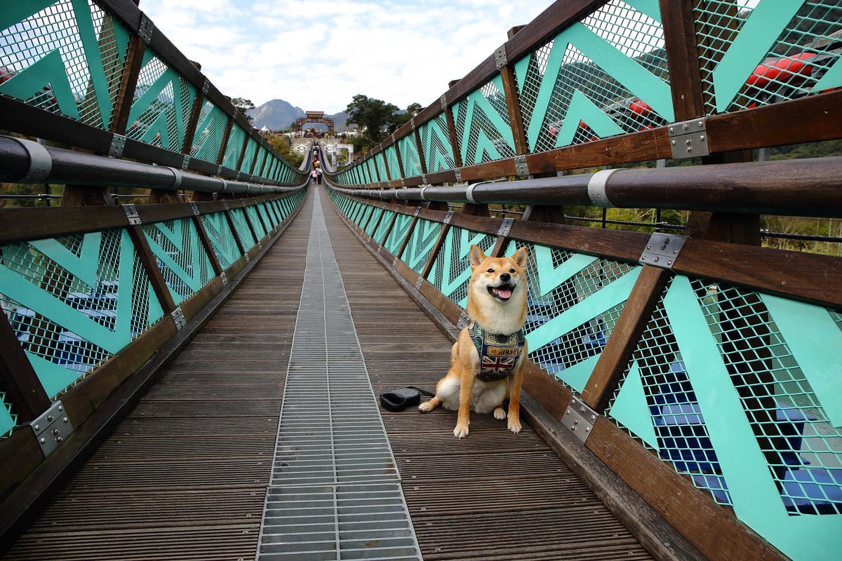 【桃園】桃園美食吃透透、景點玩透透推薦(桃園一日遊懶人包) (2018/3/7更新中)