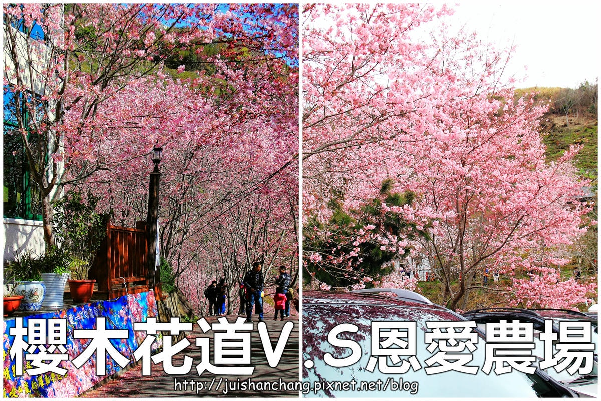 【桃園】桃園美食吃透透、景點玩透透推薦(桃園一日遊懶人包) (2018/3/7更新中)