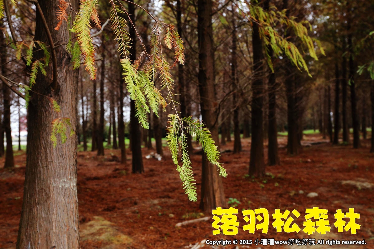 【桃園】桃園美食吃透透、景點玩透透推薦(桃園一日遊懶人包) (2018/3/7更新中)