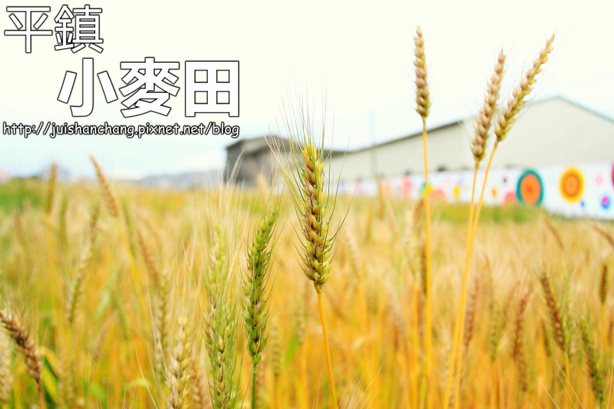 【桃園】桃園美食吃透透、景點玩透透推薦(桃園一日遊懶人包) (2018/3/7更新中)