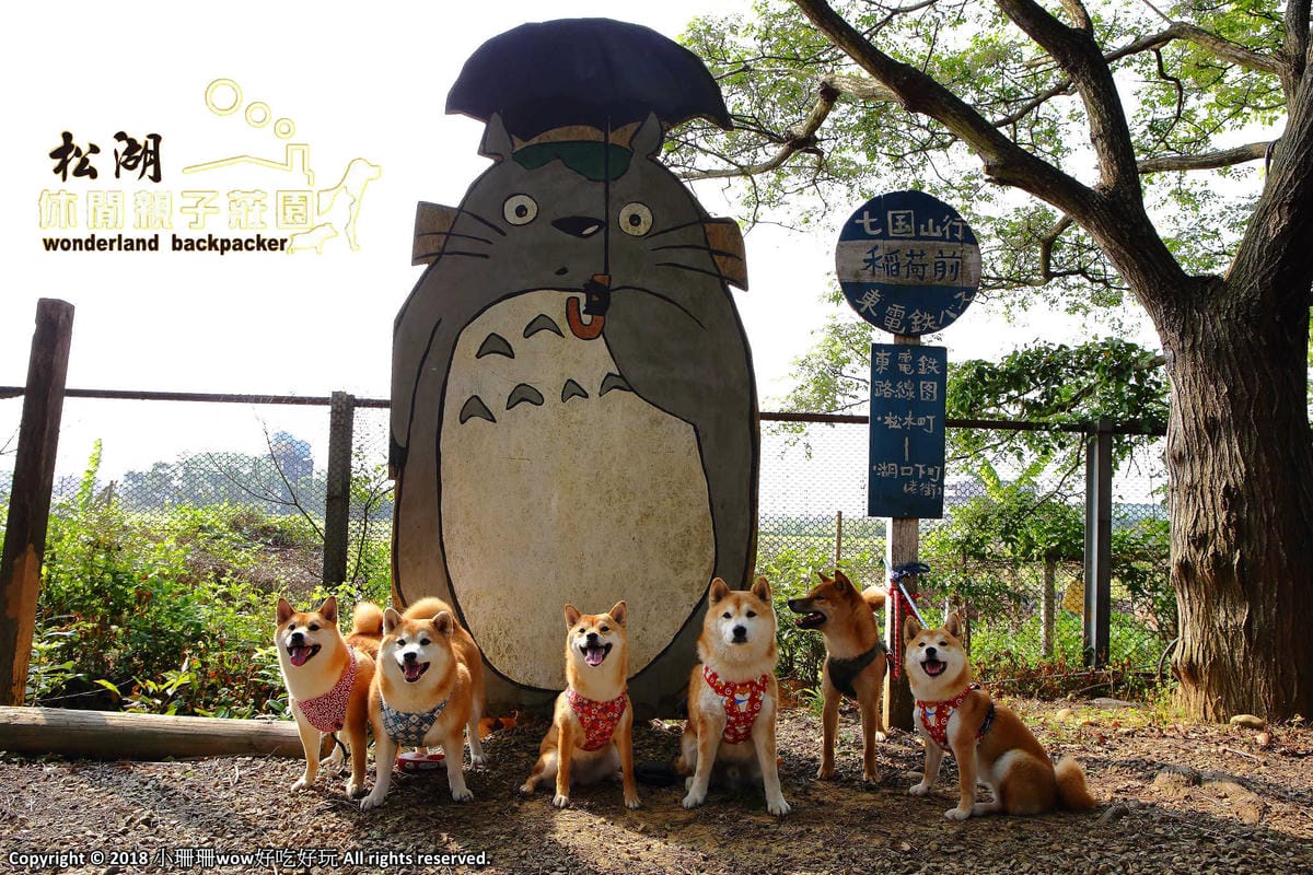 【新竹】新竹美食吃透透、景點玩透透推薦（新竹一日遊懶人包） (2018.07.16更新中)