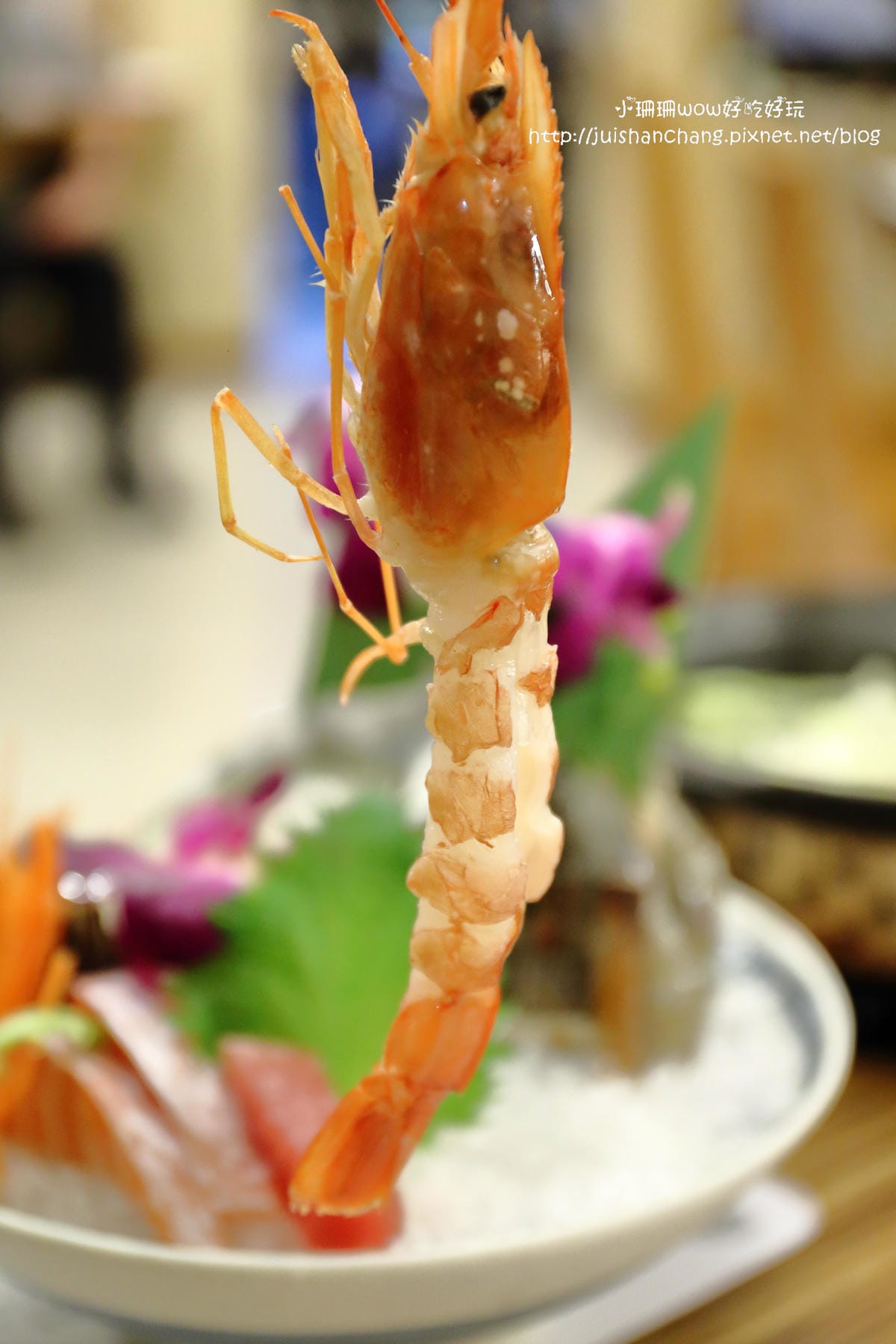 【食║台北】初二。十六 – 運時陶火鍋～主打海鮮有生魚片料理的火鍋店/景美火鍋推薦(已歇業)