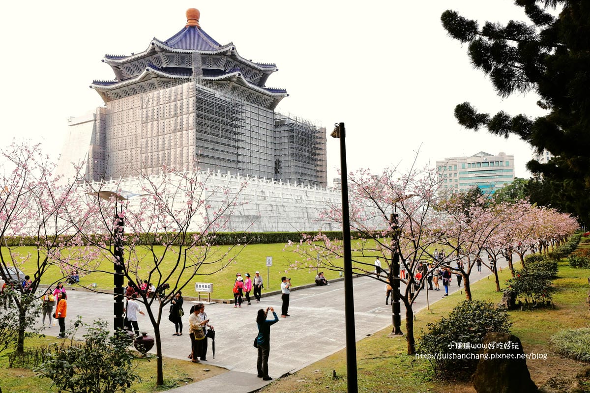 【2016櫻花季】不用跑太遠，台北市中正紀念堂賞櫻趣～市區也看得到粉色花海！！（105.3.7花況）　
