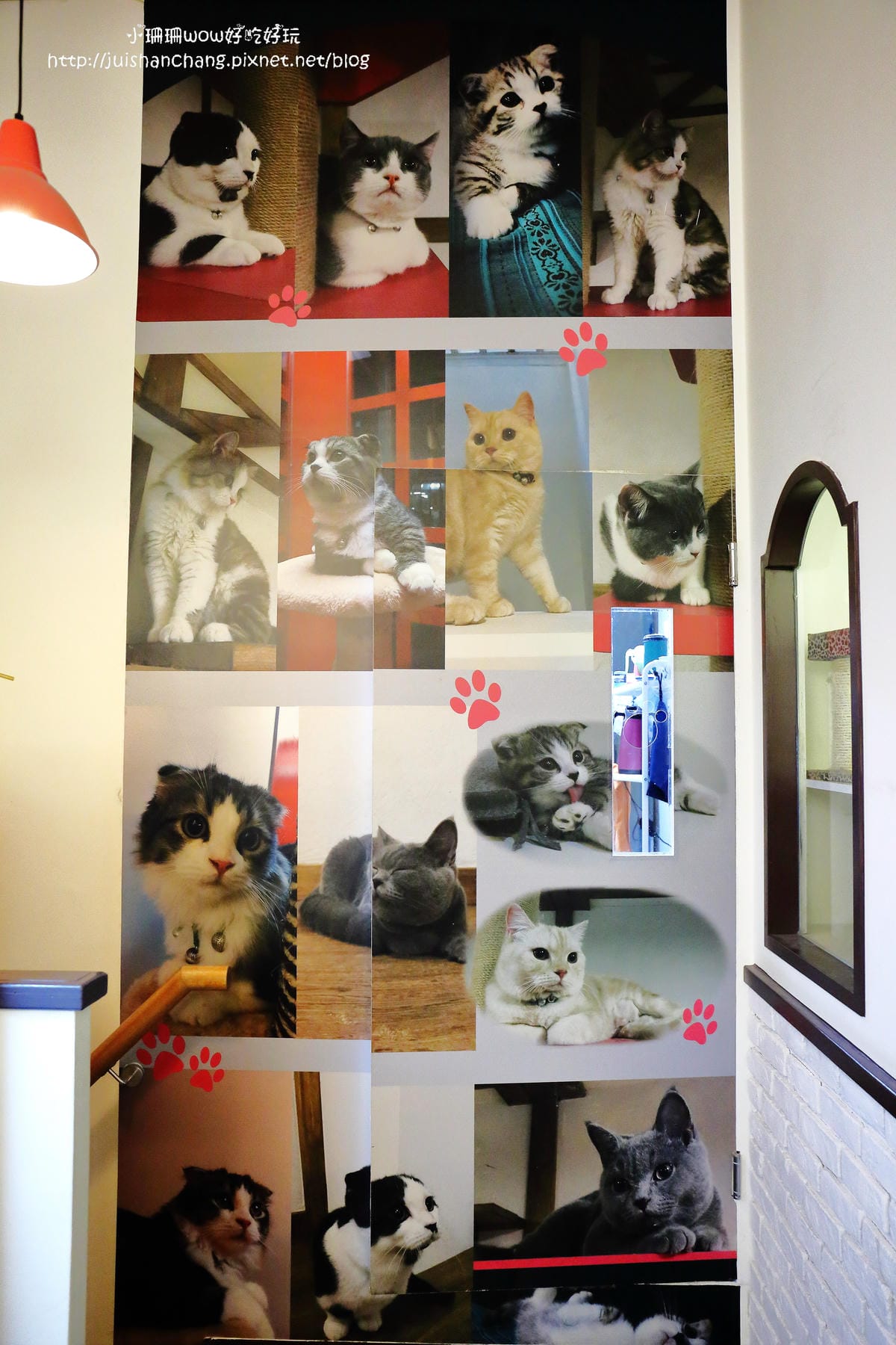 【食║台中】貓爸貓咪主題餐廳～超療癒系！貓奴必訪！與喵星人共度悠閒下午茶